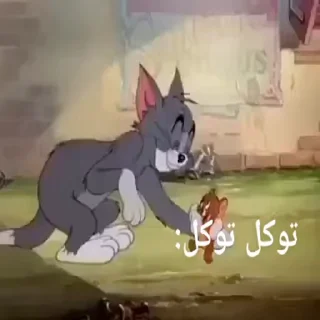 Video sticker 😾 @N_G_A