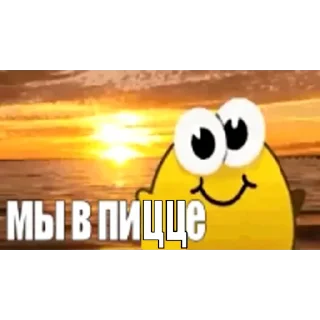 Telegram sticker 🍕 суп с опилками