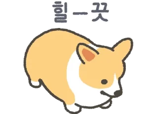 Sticker 💬 코기티콘 By @KakaoEmoticon