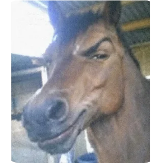 Telegram stiker 🐴 Mmgnnghh