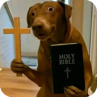 Video sticker 🐶 FIRULINHAS