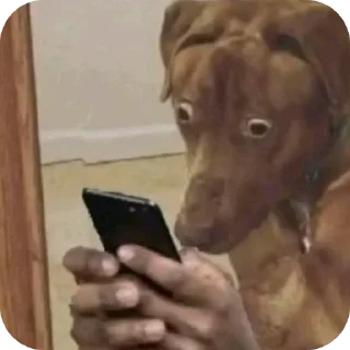 Telegram sticker 👀 FIRULINHAS