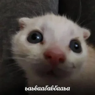 Telegram sticker 🌟 🦖 Smart Dino :: @fStikBot