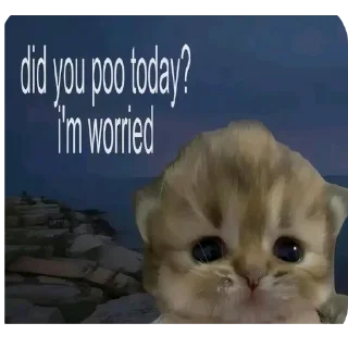 Sticker 🐱 Your mom vag opens like mustard