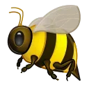Video sticker 🐝 Bugs and Insects @PunjabiSticker