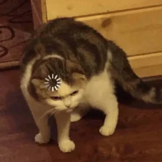 Telegram sticker 🤨 سم کاستوم