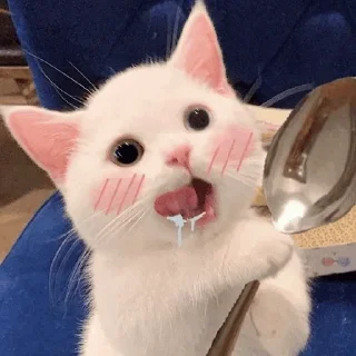 Telegram sticker 💘 Hanameow