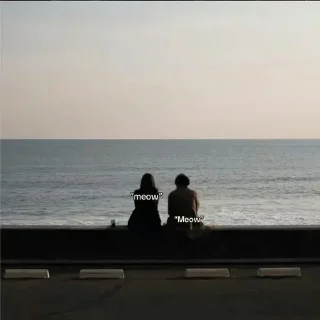 Telegram sticker 🌟 Hanameow