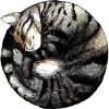 Sticker 🐈 @nansy_koi храм души