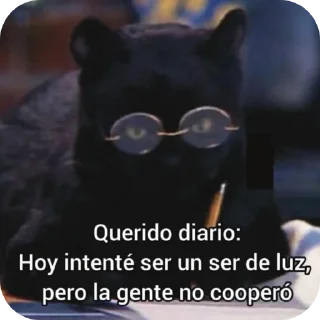 Sticker 🐱 Re random by bren