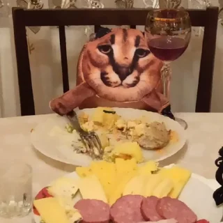 Telegram stiker 🍽️ Floppa BLOPTOP