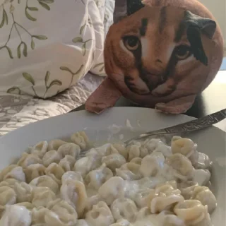 Video sticker 🥟 Floppa BLOPTOP