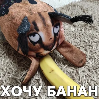 Telegram stiker 🍌 Floppa BLOPTOP