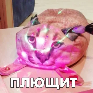 Telegram stiker 🎉 Floppa BLOPTOP
