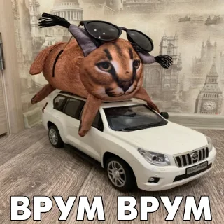 Telegram stiker 🚘 Floppa BLOPTOP