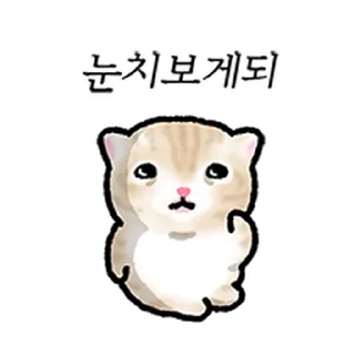 Telegram sticker ⭐ 작아요 고먕이 3 @moe_sticker_bot