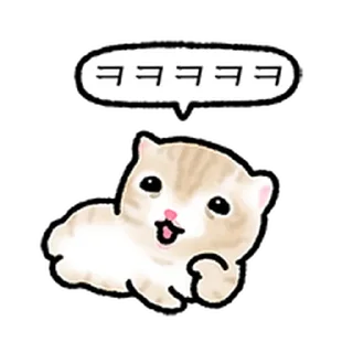 Video sticker ⭐ 작아요 고먕이 3 @moe_sticker_bot