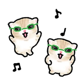 Video sticker ⭐ 작아요 고먕이 3 @moe_sticker_bot