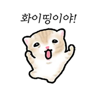 Telegram sticker ⭐ 작아요 고먕이 3 @moe_sticker_bot