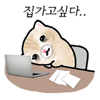 Telegram sticker ⭐ 작아요 고먕이 3 @moe_sticker_bot