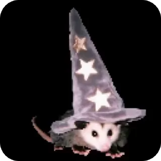 Video sticker 🥺 uksus's opossums! :: @fStikBot