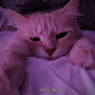 Telegram sticker 😓 || @FZ_LINK || @FZ_STICKER ||