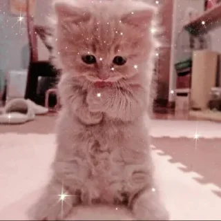 Telegram sticker 🙁 || @FZ_LINK || @FZ_STICKER ||