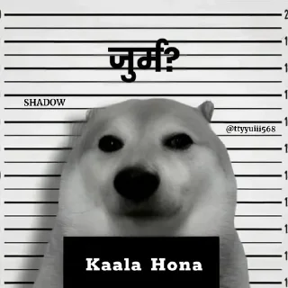 Video sticker 🌟 Annoying [ @whoisme333 ]