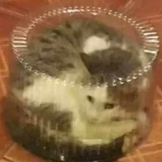 Telegram sticker 🎂 Больше стиков тут: @stikery4