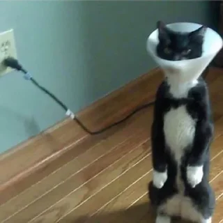 Telegram sticker 💡 Больше стиков тут: @stikery4