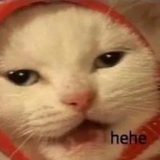 Telegram sticker 😒 Больше стиков тут: @stikery4