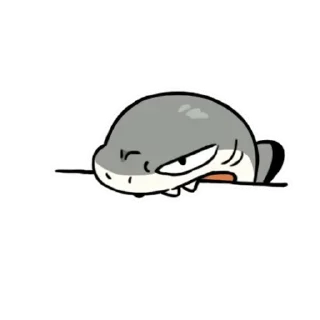 Telegram sticker 😊 Sharkitty鯊貓 調皮搗蛋動態貼圖 @kal_pc
