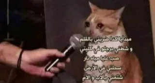 Video sticker 😂 زبوده 🤧❤️❤️‍🔥