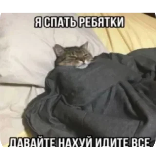 Telegram sticker 🐱 Больше стиков тут: @stikery4