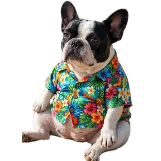 Telegram sticker 🐶 menzA