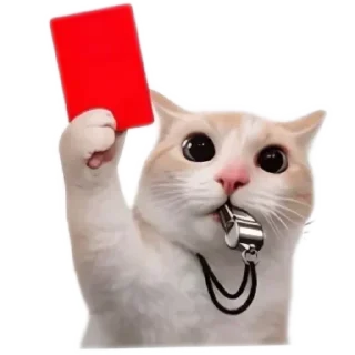 Telegram sticker 🐱 menzA