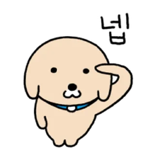 Video sticker ⭐ 누렁이의 직장생활 4 @moe_sticker_bot