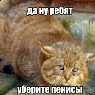 Telegram sticker ☺️ Random 2 | @BLBTGK , @BLBstickers