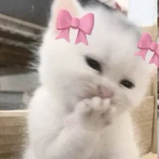 Telegram sticker 🎀 Loly's