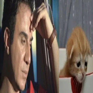 Telegram sticker 😢 morabaye porteghal @nantoosts