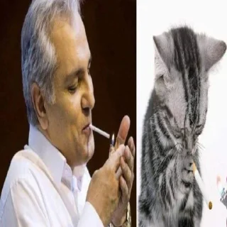 Telegram sticker 😂 morabaye porteghal @nantoosts