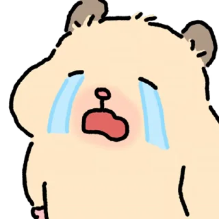 Video sticker ⭐ 햄스터 확대 7 @manbull_sticker_bot