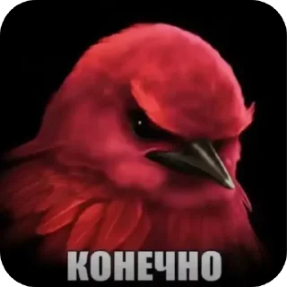 Telegram sticker 🌸 Фулл хаус