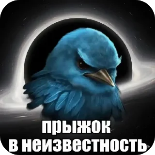 Video sticker 🐦 Фулл хаус