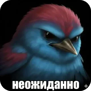 Video sticker 🐦 Фулл хаус