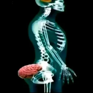 Sticker 💩 тт @ksyushka_best