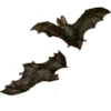 Sticker 🦇 вырви матку языком @qwdomino :: @fStikBot