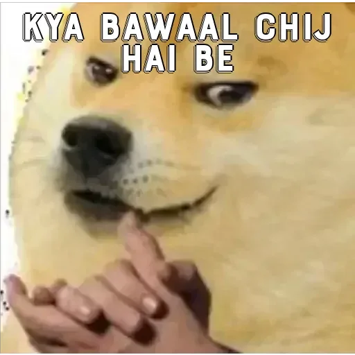 Telegram sticker 😀 @Shanusingh023  @Singhshanu023