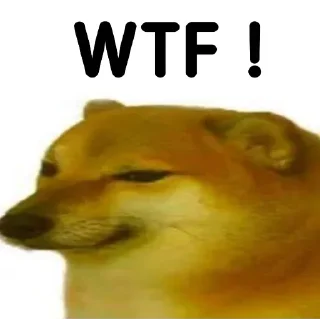 Video sticker 😂 @Shanusingh023  @Singhshanu023