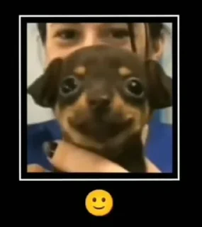 Video sticker 🙂 𝒞𝒾𝓃𝒹𝑜𝓇 Steal Pack 1